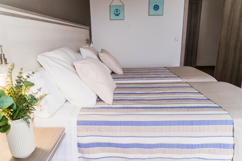 Hotel Planas