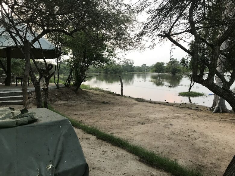 Elephant Lake Yala