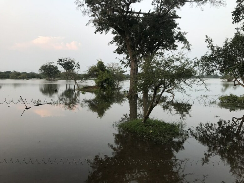 Elephant Lake Yala