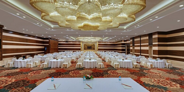 Sayaji Hotel