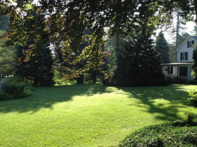 Bed & Breakfast The Windflower Inn