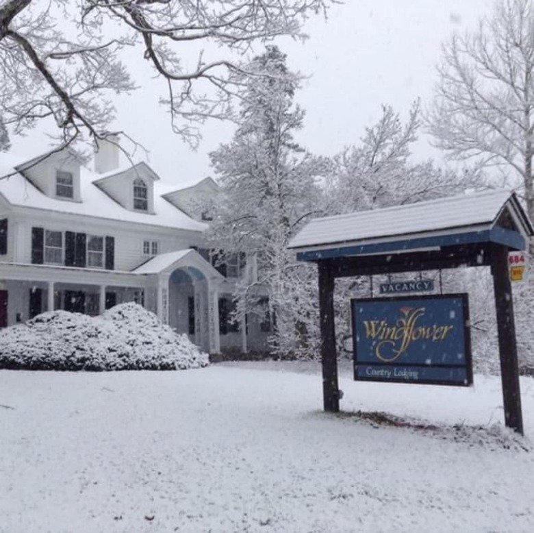 Bed & Breakfast The Windflower Inn