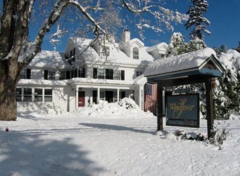 Bed & Breakfast The Windflower Inn