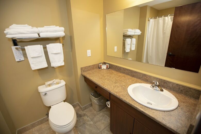 Stfx University Summer Hotel