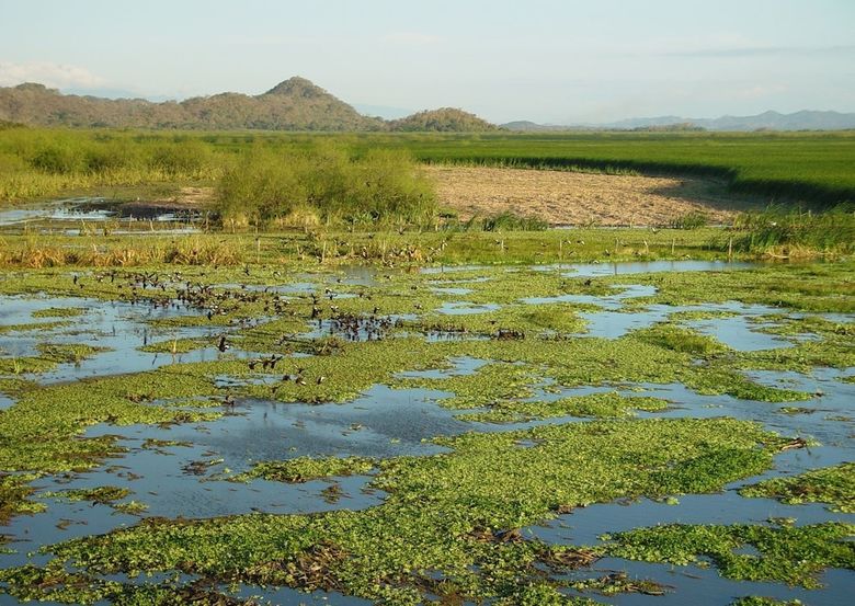 Posada Palo Verde Biological Station