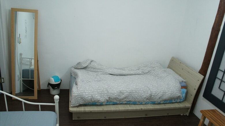 Hostal Owl Guesthouse - Hostel