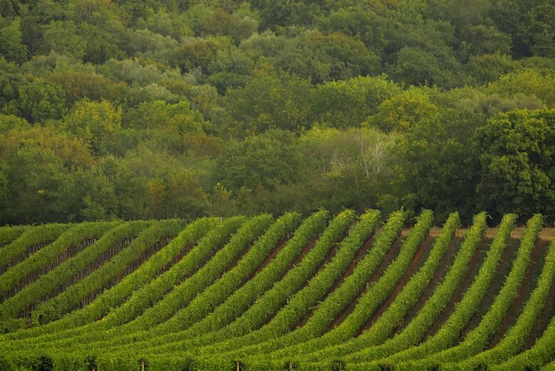 Agroturismo Tenuta La Parrina
