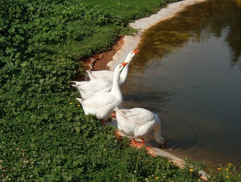 Agroturismo Tenuta La Parrina