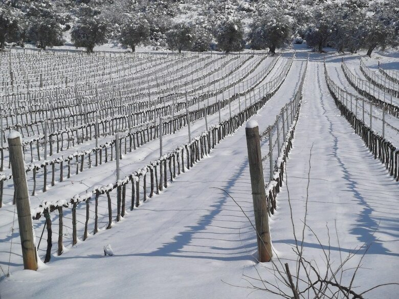 Agroturismo Tenuta La Parrina
