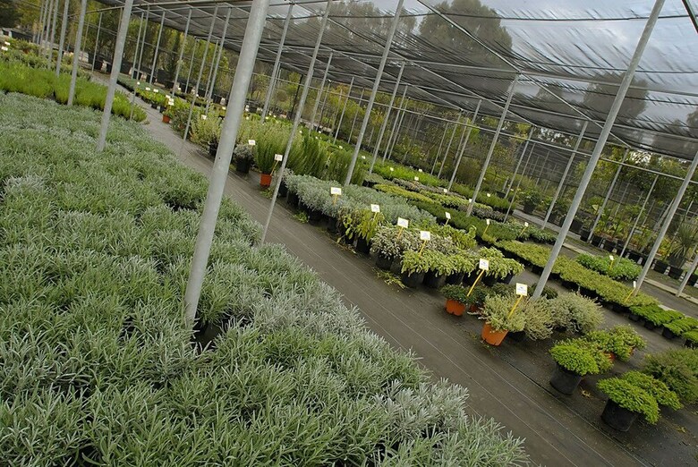 Agroturismo Tenuta La Parrina