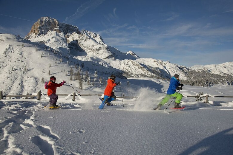 Bed & Breakfast Silentium Dolomites Chalet