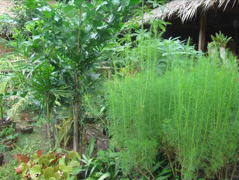 Apartamento Bantayan Island Nature Park And Resort