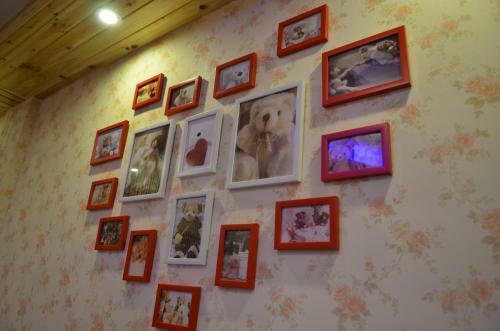 Hostal Wuzhen Jinhanghe Inn