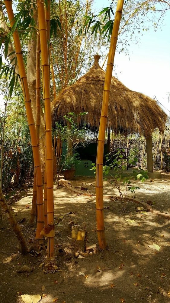 Posada Evergreen Retreat