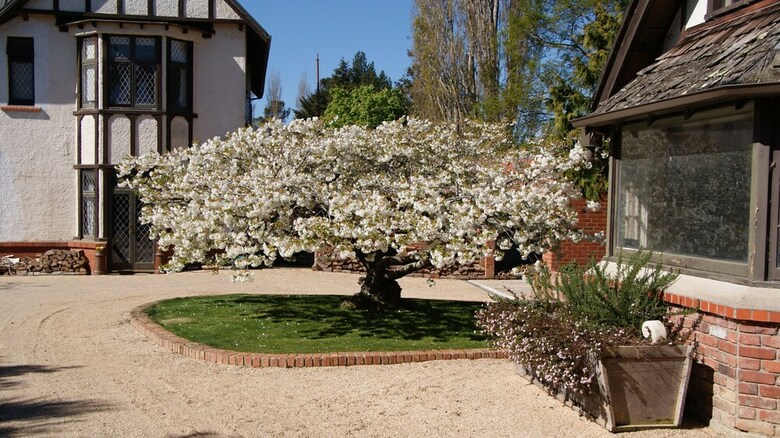 The Birches Bed & Breakfast