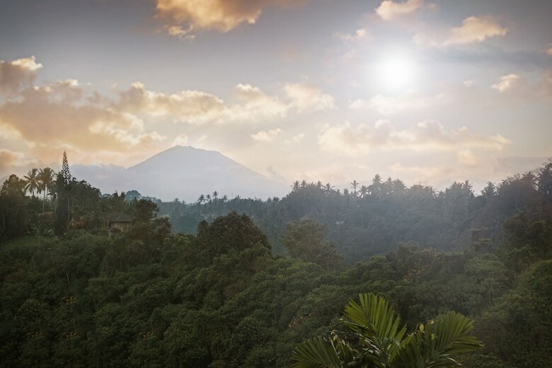 Hotel Anhera Suite Ubud