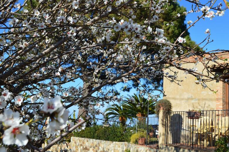 Bed & Breakfast Villa Quiete