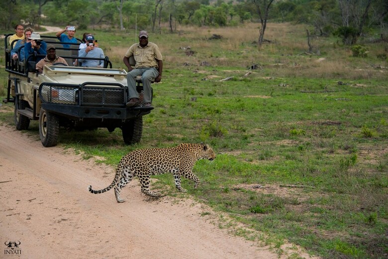 Posada Inyati Game Lodge