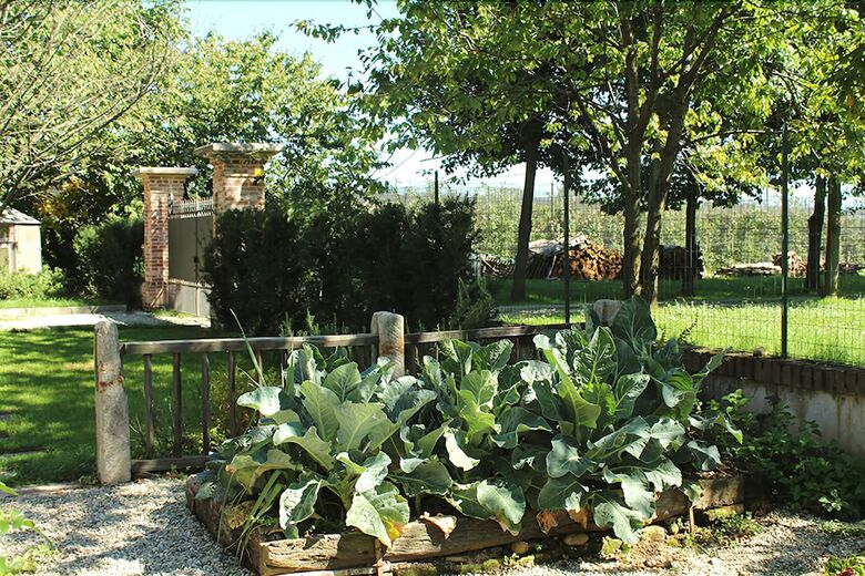 B&B La Casa Delle Grottesche