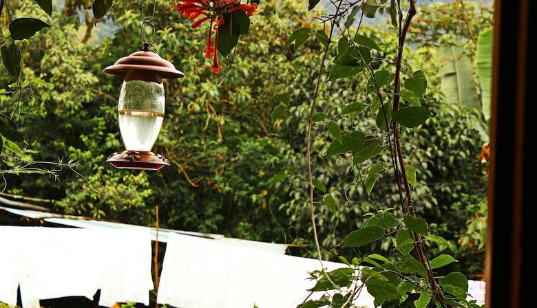 Posada Mindo Green House