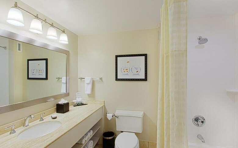 Hotel Embassy Suites By Hilton Tampa Airport Westshore