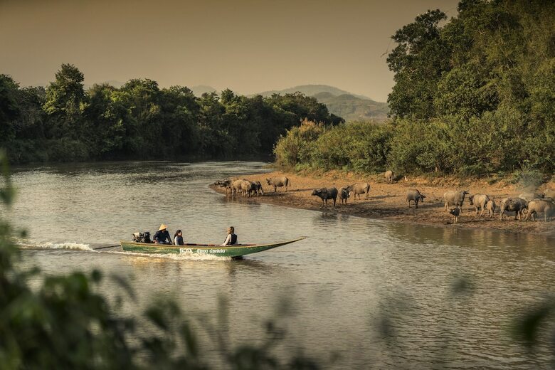 Hotel Four Seasons Tented Camp Golden Triangle - All Inclusive