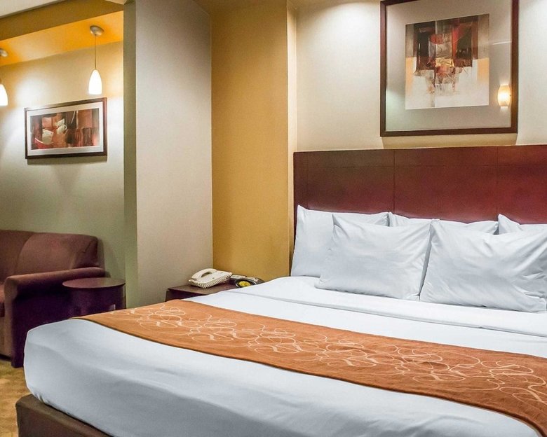 Hotel Comfort Suites Perrysburg - Toledo South