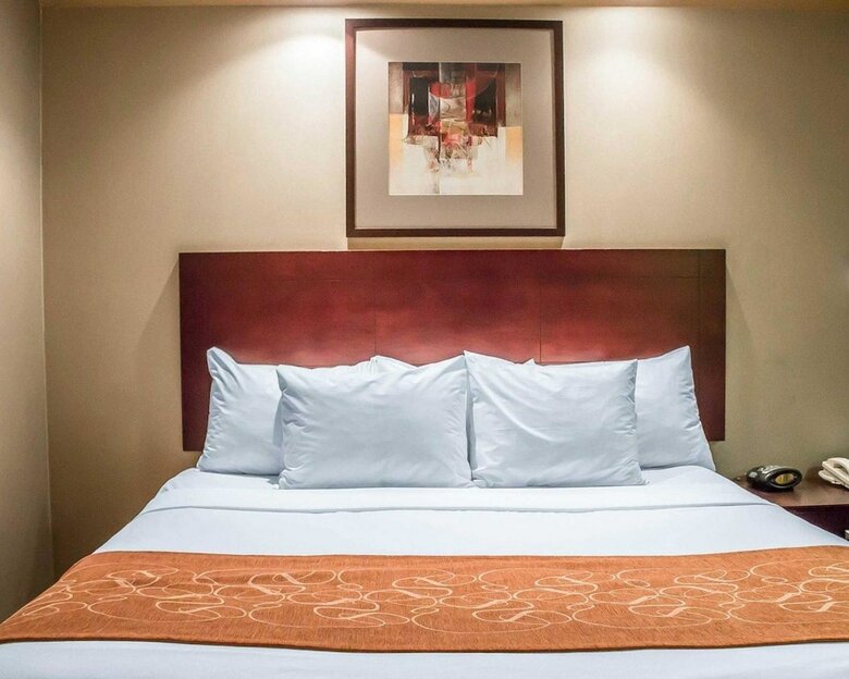 Hotel Comfort Suites Perrysburg - Toledo South