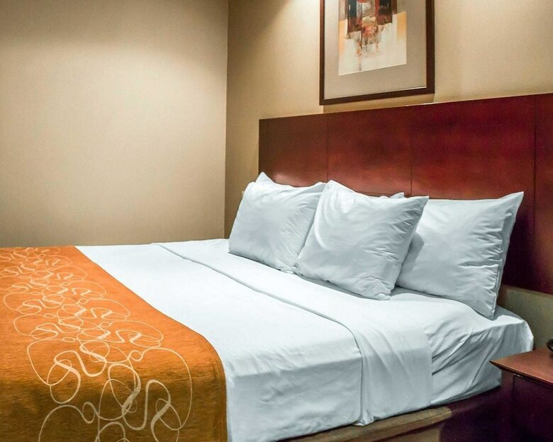 Hotel Comfort Suites Perrysburg - Toledo South