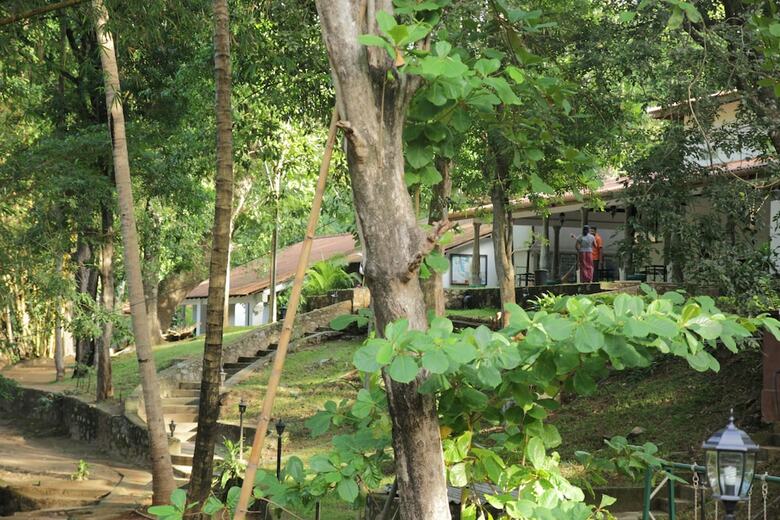 Hotel Dambulu Oya Family Park