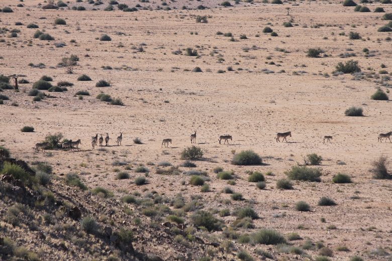 Posada Sandfontein Lodge & Nature Reserve - All-inclusive