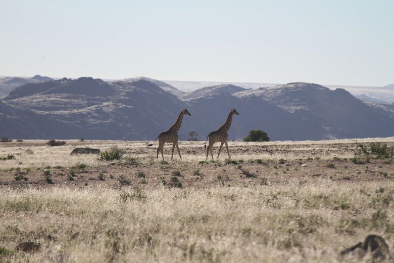 Posada Sandfontein Lodge & Nature Reserve - All-inclusive