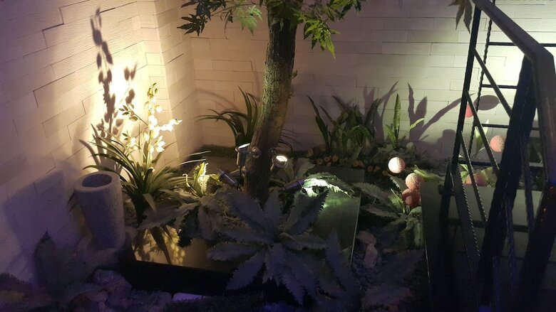 Dryad Motel
