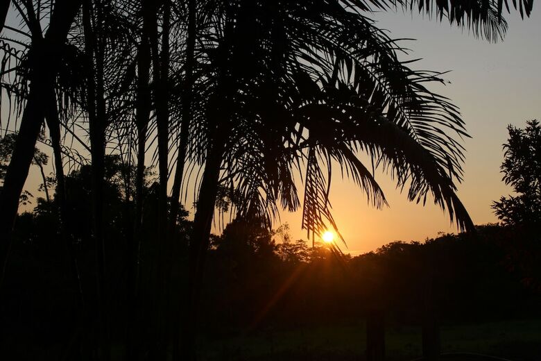 Posada Amazon Garden Ecolodge