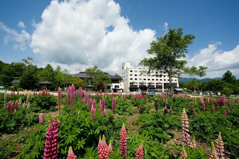 Okutone Onsen Hotel Sunbird