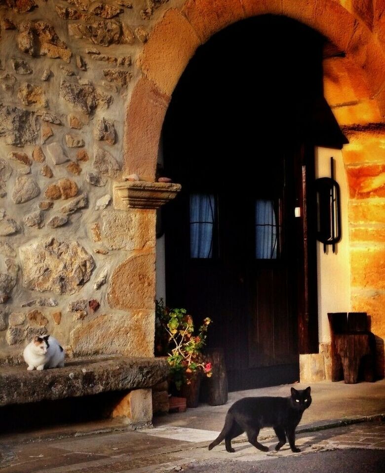 Agroturismo Casa Rural Areano