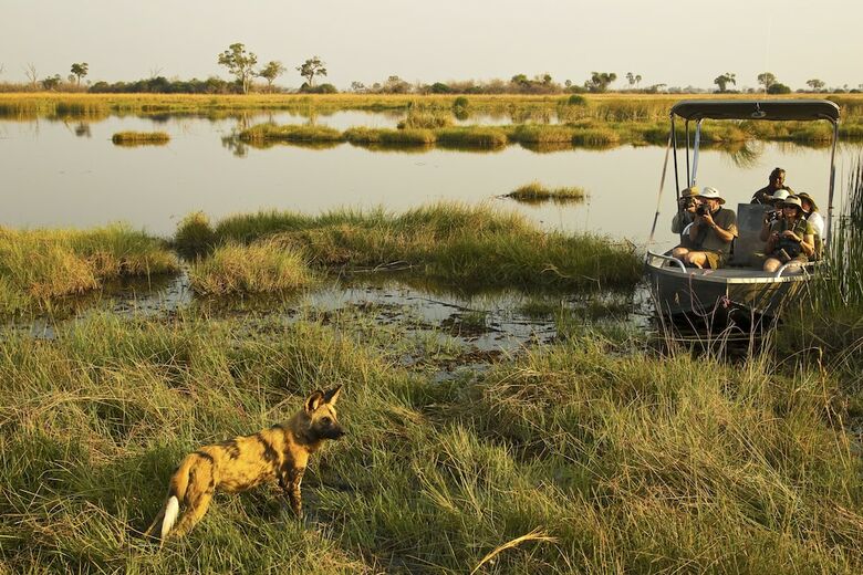 Posada Selinda Camp