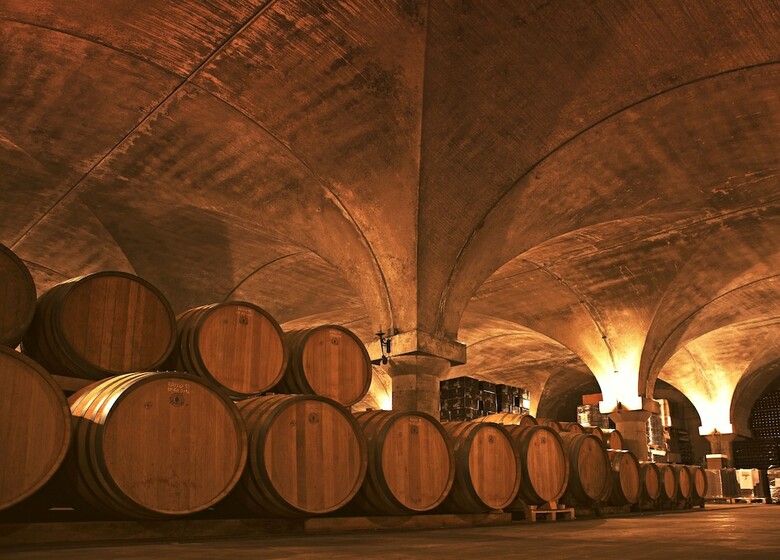 Agroturismo Podere Castel Merlo
