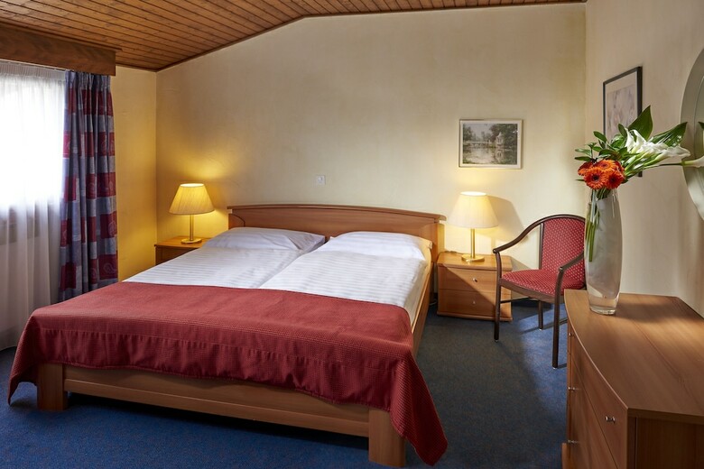 Hotel Eurotel Victoria Villars
