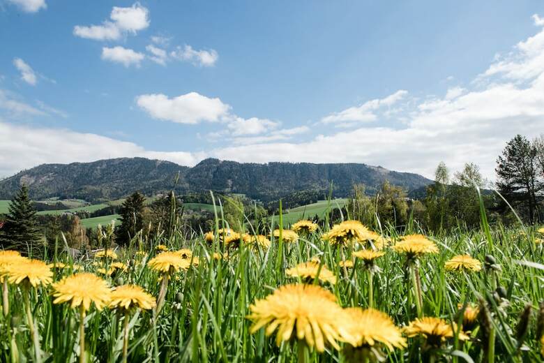 Pension Sch�cklblick