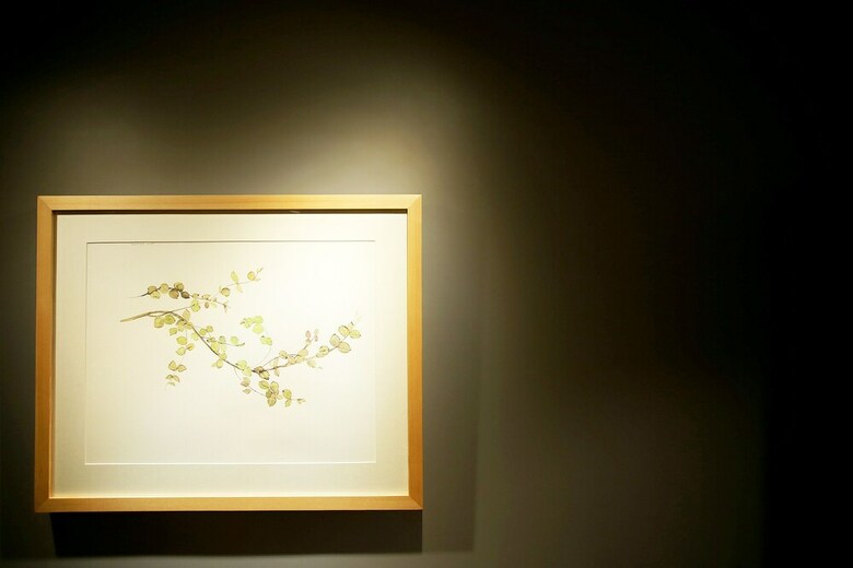 Hotel Kotel Yaja Sadang Art Gallery