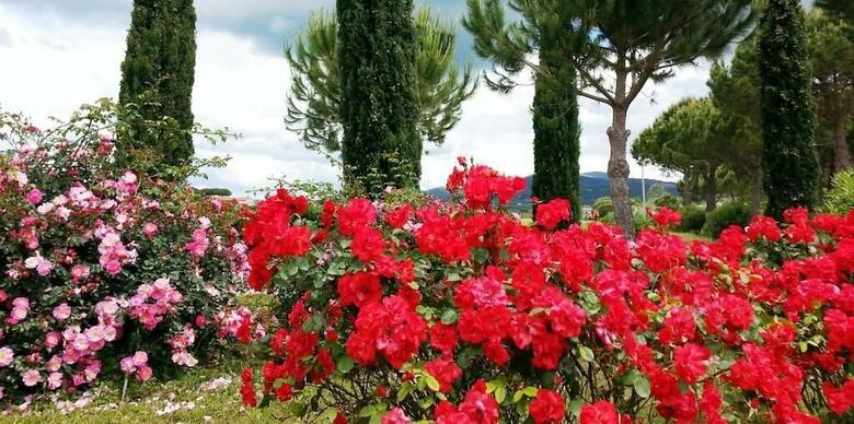 Agroturismo Agriturismo Villa Toscana