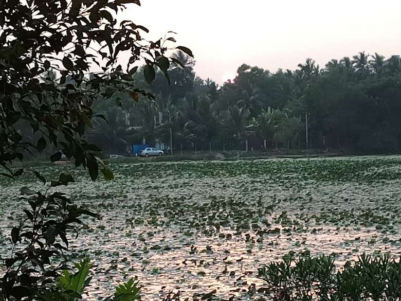Hotel Heritage Lake View