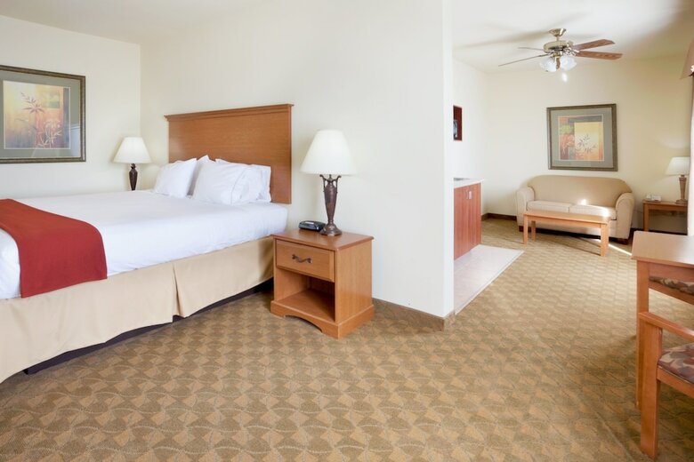 Hotel Holiday Inn Express & Suites Zapata