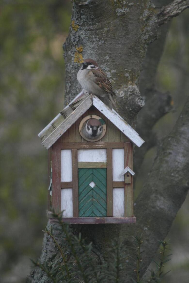 Lilla Huset P� Sl�tten B&B