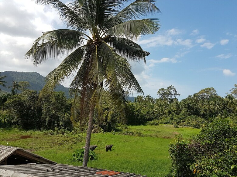 Samui Zenity Hotel