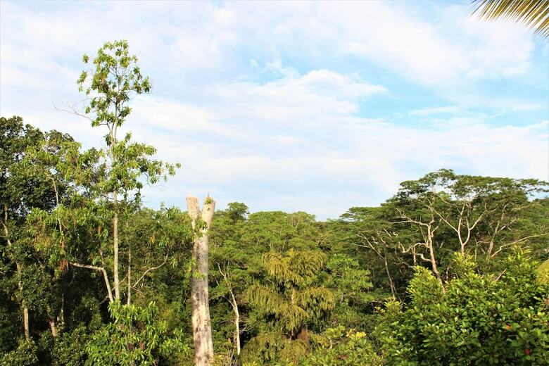 Bed & Breakfast E-stay Hanthana Kandy
