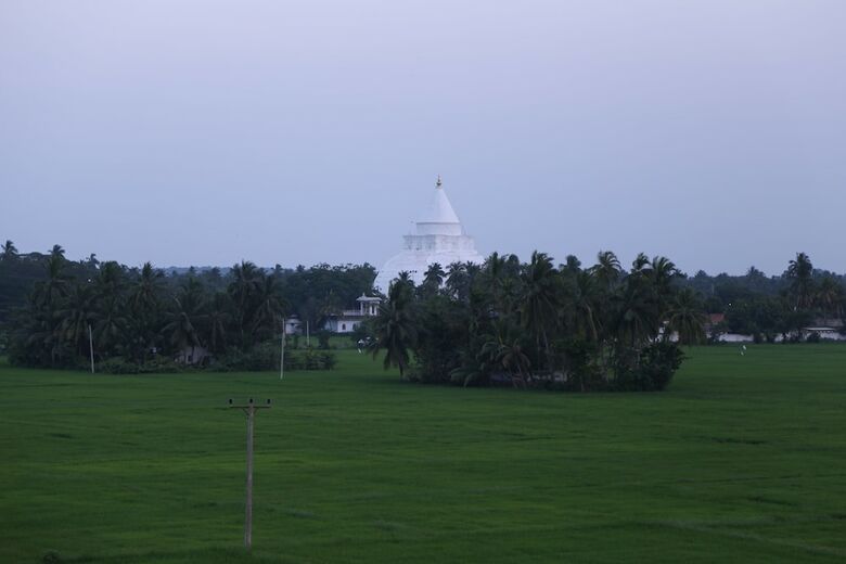 Serene Park Hotel