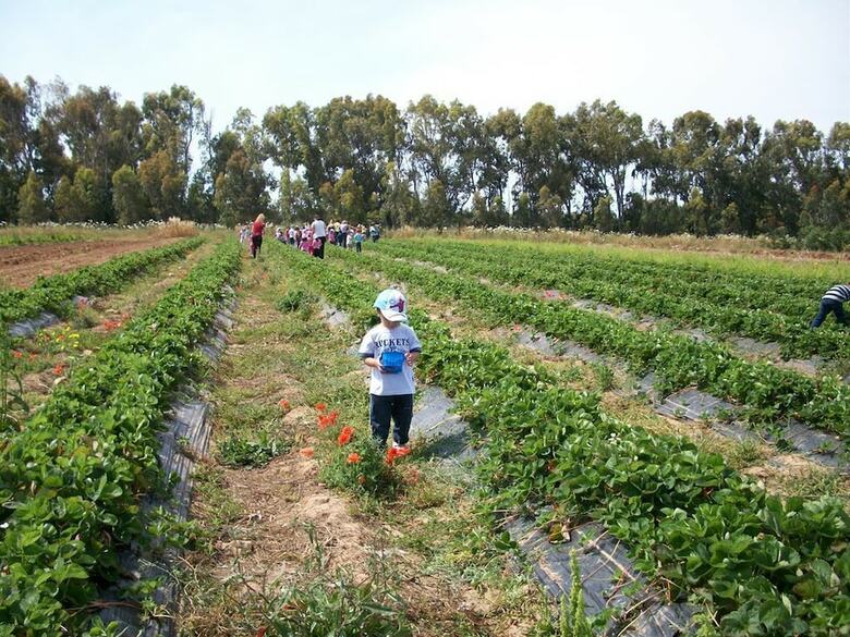 Agroturismo Agriturismo Naturabio