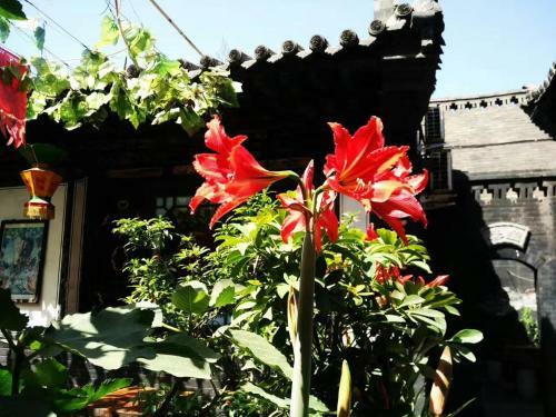 Posada Tian Yi Hostel